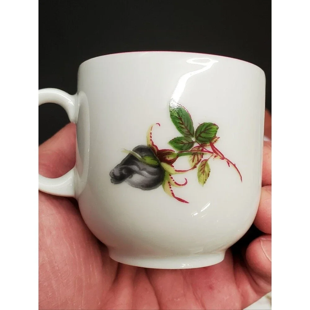 Winterling Bavaria Porcelain China 5 Place Floral Rose Tea Cup Set